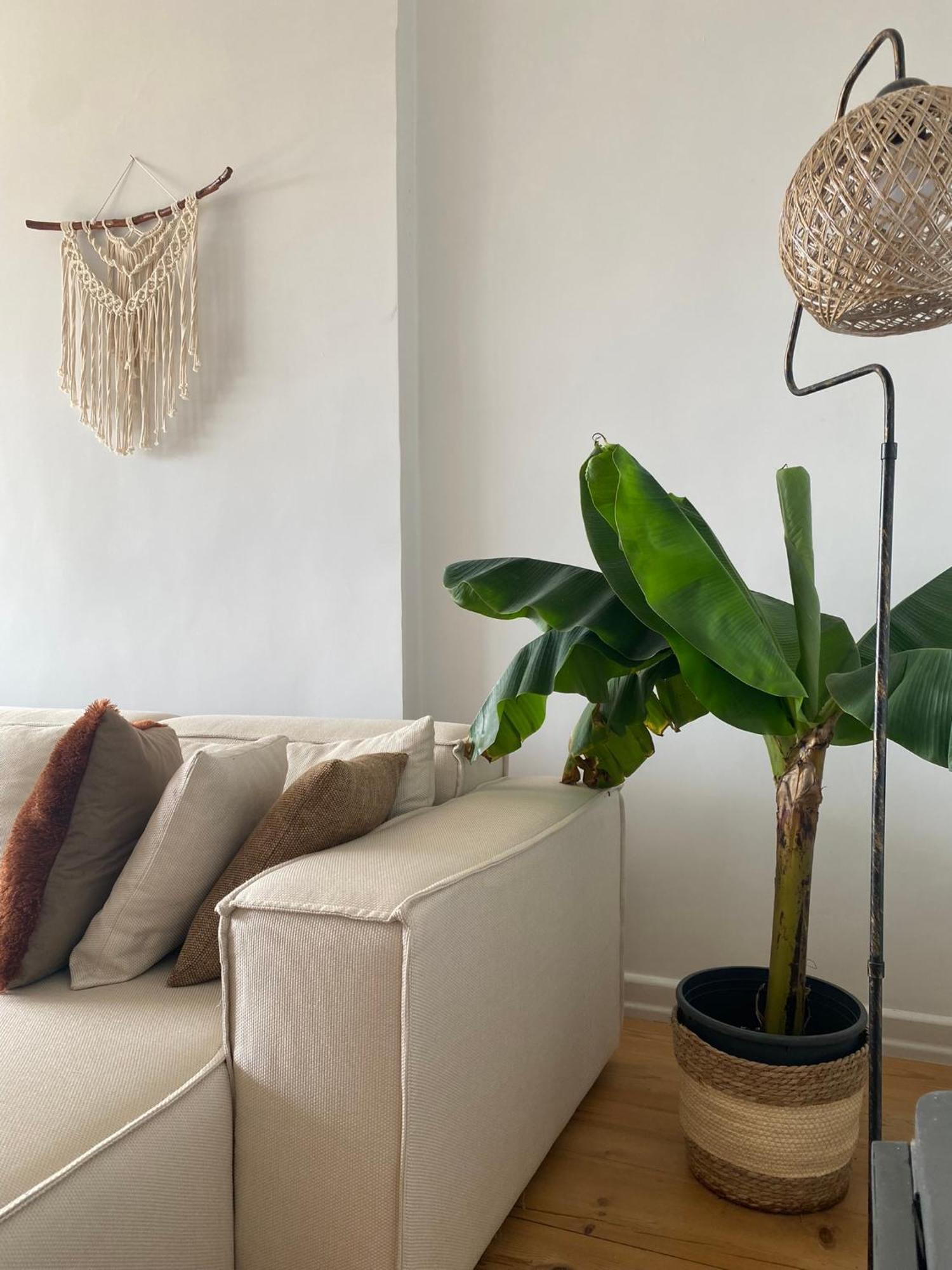 Fantastic golden horn view in Beyoglu, Cozy design Appartement Istanboel Buitenkant foto